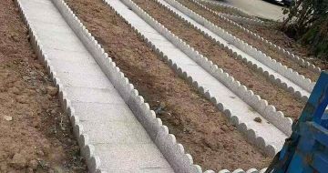 佳木斯芝麻白花边石