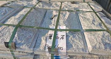 佳木斯芝麻白蘑菇石，自然面